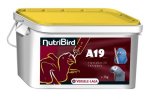NutriBird A19 3kg(UMPACKGROSSE 1)