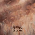Citizen Of Glass Agnes Obel auf Vinyl