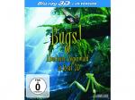 Bugs! - Abenteuer Regenwald - Real 3D [3D Blu-ray]