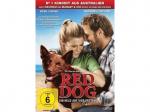 Red Dog [DVD]