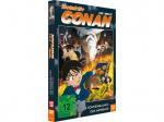 Detektiv Conan – The Movie (19) – Die Sonnenblumen des Infernos – Limited Edition [DVD]
