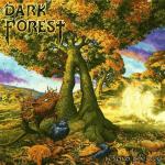 Beyond The Veil Dark Forest auf CD