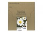 Epson T1816 Gänseblümchen, Claria Home Tinte, Text- und Fotodruck XL ( Multipack, 4-farbig) (CYMK)