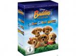 Buddies Pack [DVD]