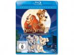 Susi und Strolch II - Kleine Strolche Großes Abenteuer (Special Ed.) Blu-ray