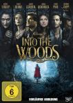 Into the Woods auf DVD