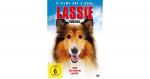 DVD Lassie Collection Hörbuch