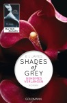 Shades of Grey - Geheimes Verlangen, Unterhaltung