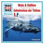 Was Ist Was Folge 13: Wale & Delfine/Geheimnisse Der Tiefsee Kinder