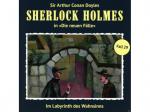 Holmes Sherlock - Im Labyrinth Des Wahnsinns (Neue Fälle 29) - (CD)