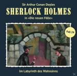Holmes Sherlock - Im Labyrinth des Wahnsinns (Neue Fälle 29) (2LP) - (Vinyl)