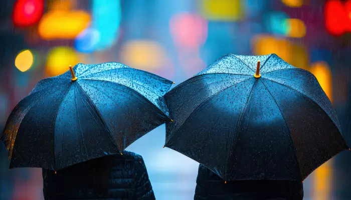 Regenschirme in Hambrücken